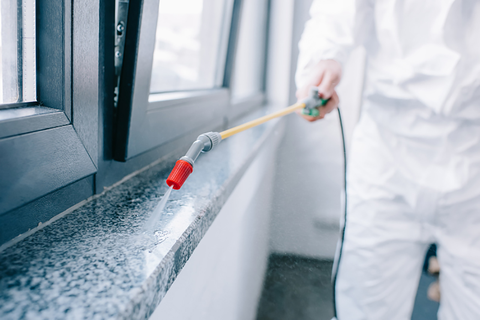 9 steps to starting a pest control business