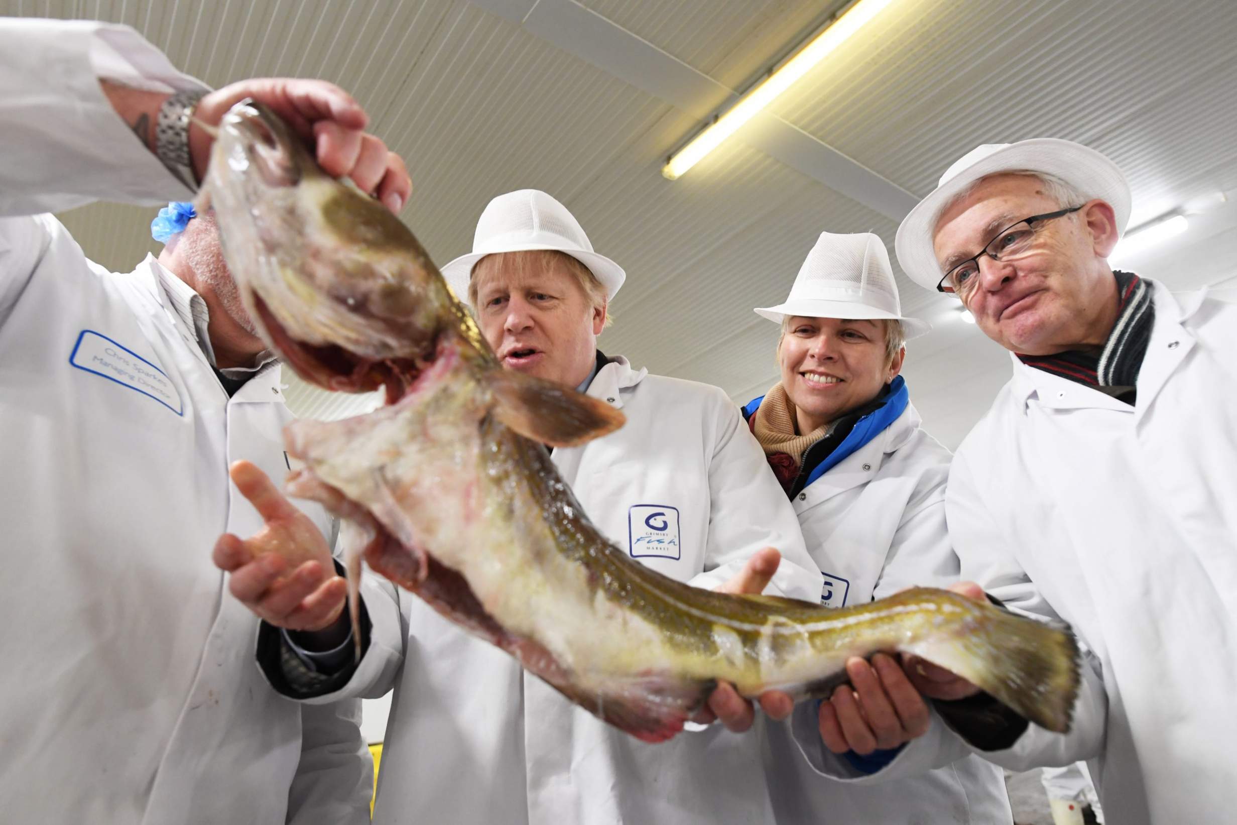 Food Standards and a Top Brexiter’s Fishy Business – Byline Times