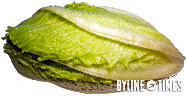 The Upside Down: The Surprisingly Racy History of Lettuce – Byline Times
