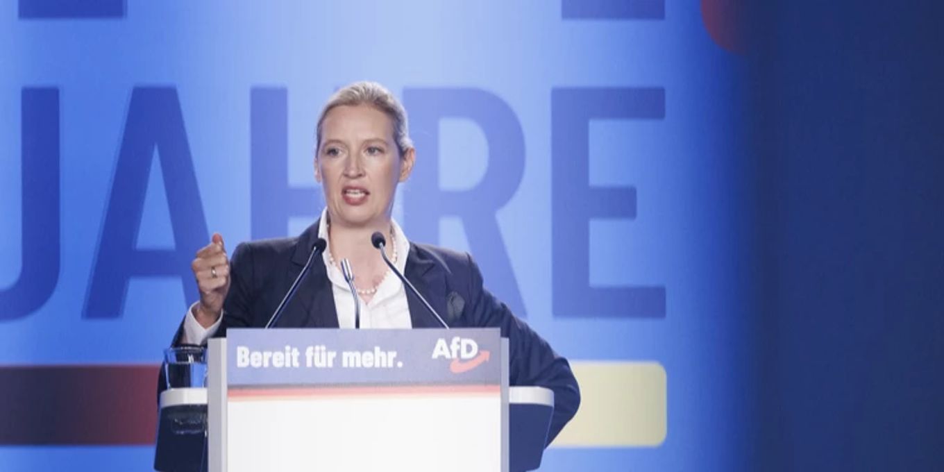 Gingen AfD-Weidels Kinder trotz Drohung zur Schule? | Nau.ch