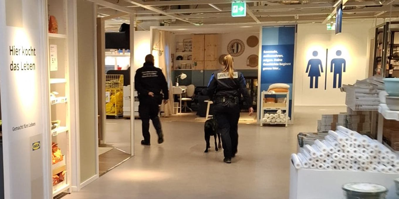 Grenzwächter kontrollieren Berner Ikea-Filiale mit Spürhunden | Nau.ch