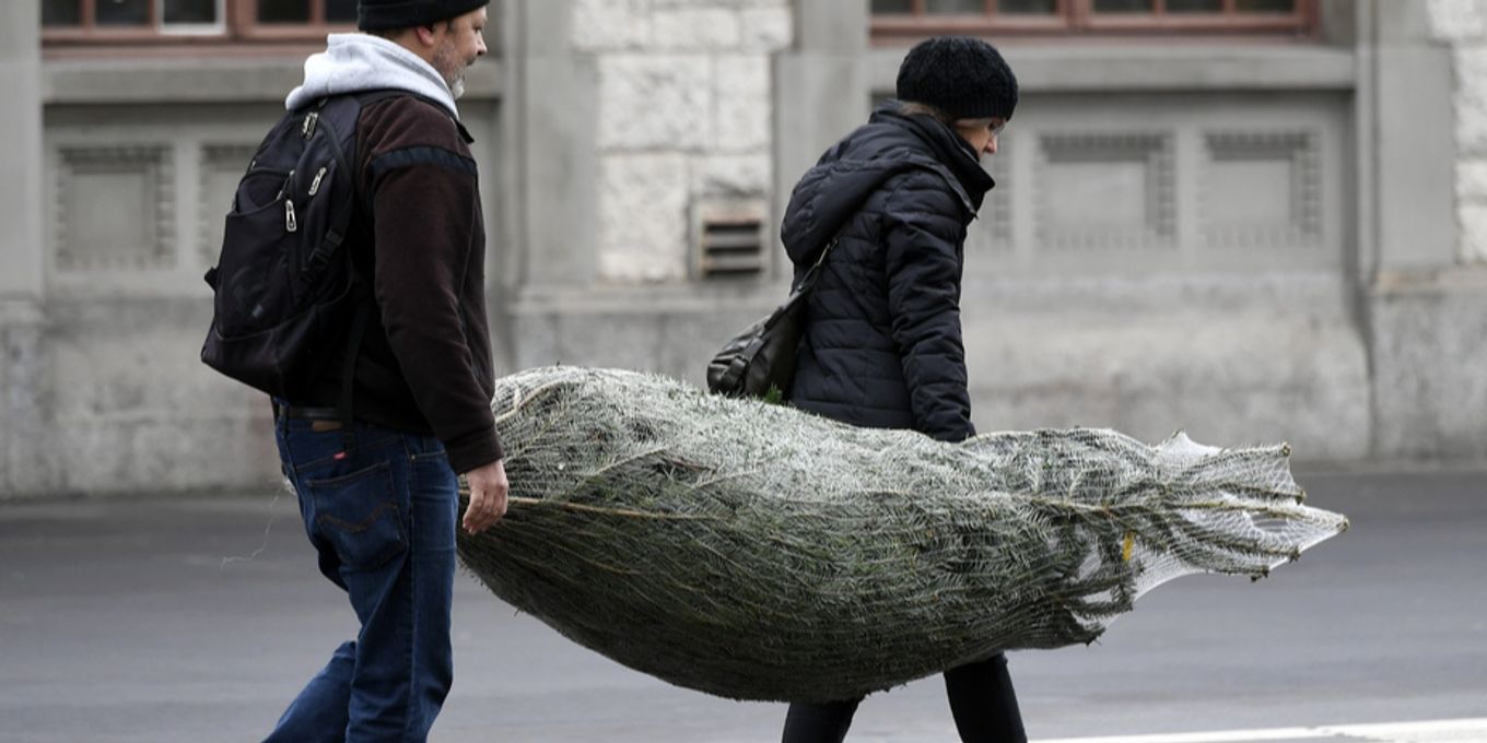 Weihnachtsbaum: Droht Knappheit – und Aufpreis? | Nau.ch