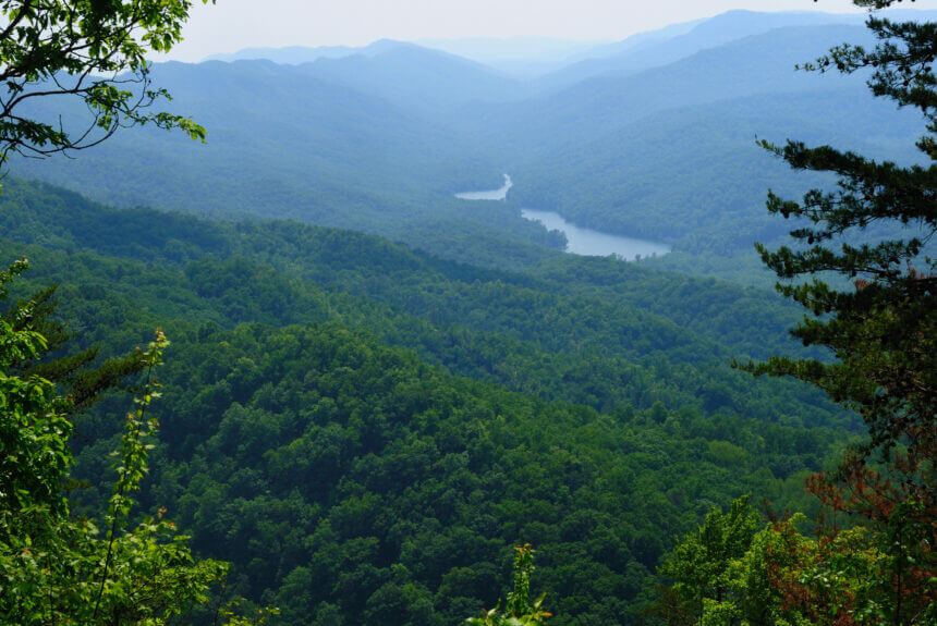 Private Capital is Funding Conservation Across the Country