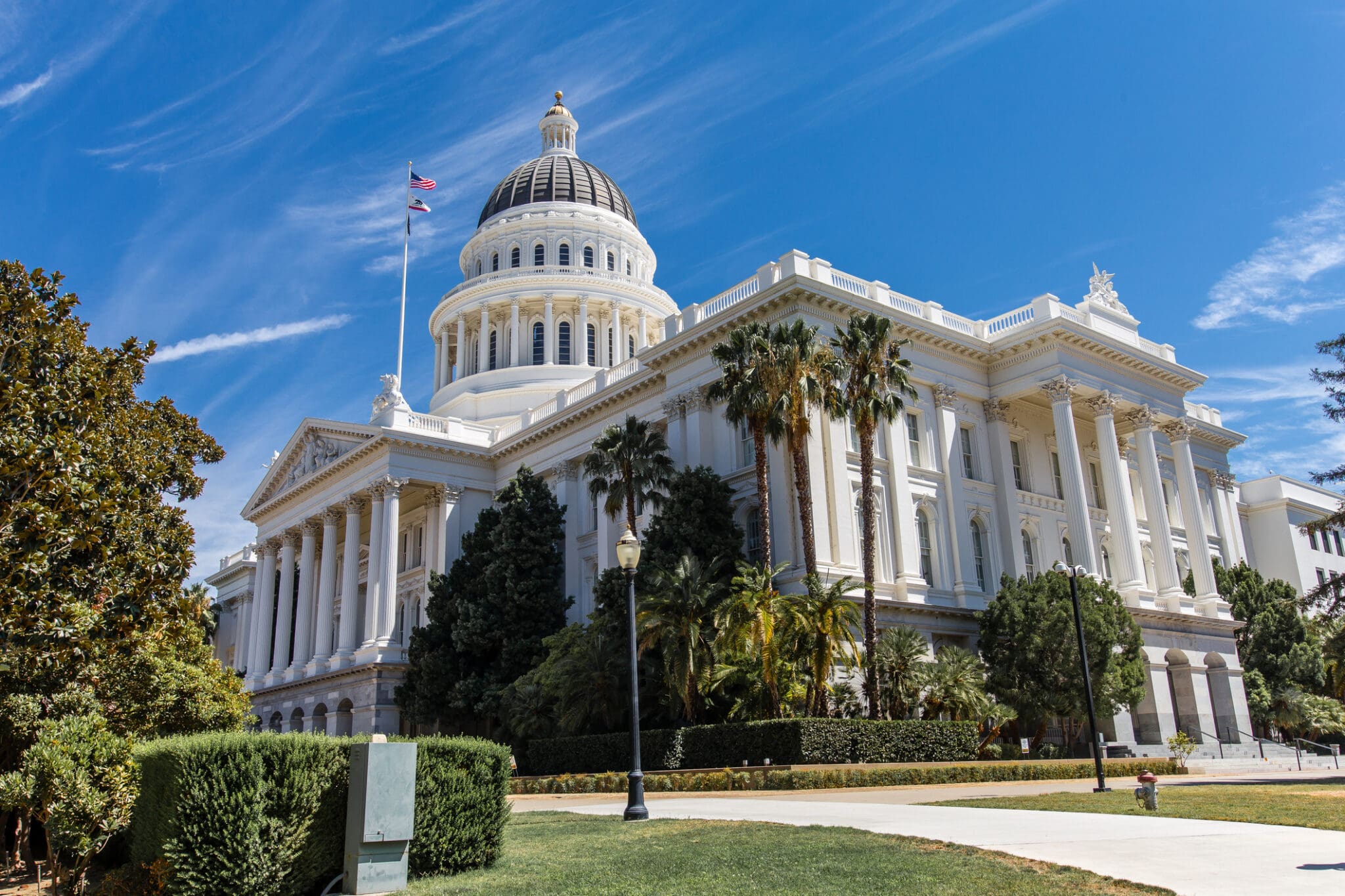How a David vs. Goliath Policy Fight in California Scored an Unexpected Victory - Campaigns & Elections