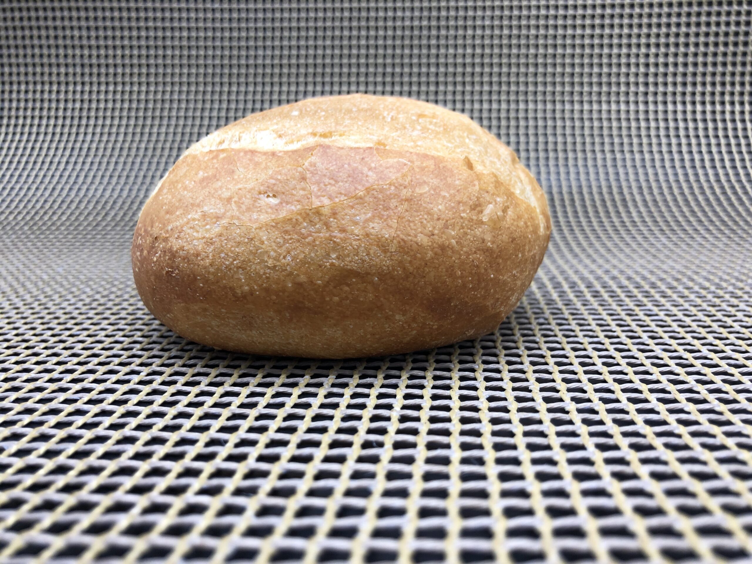 Cooperation between craftsmanship and science: Award for sustainable baking technology - Campuls