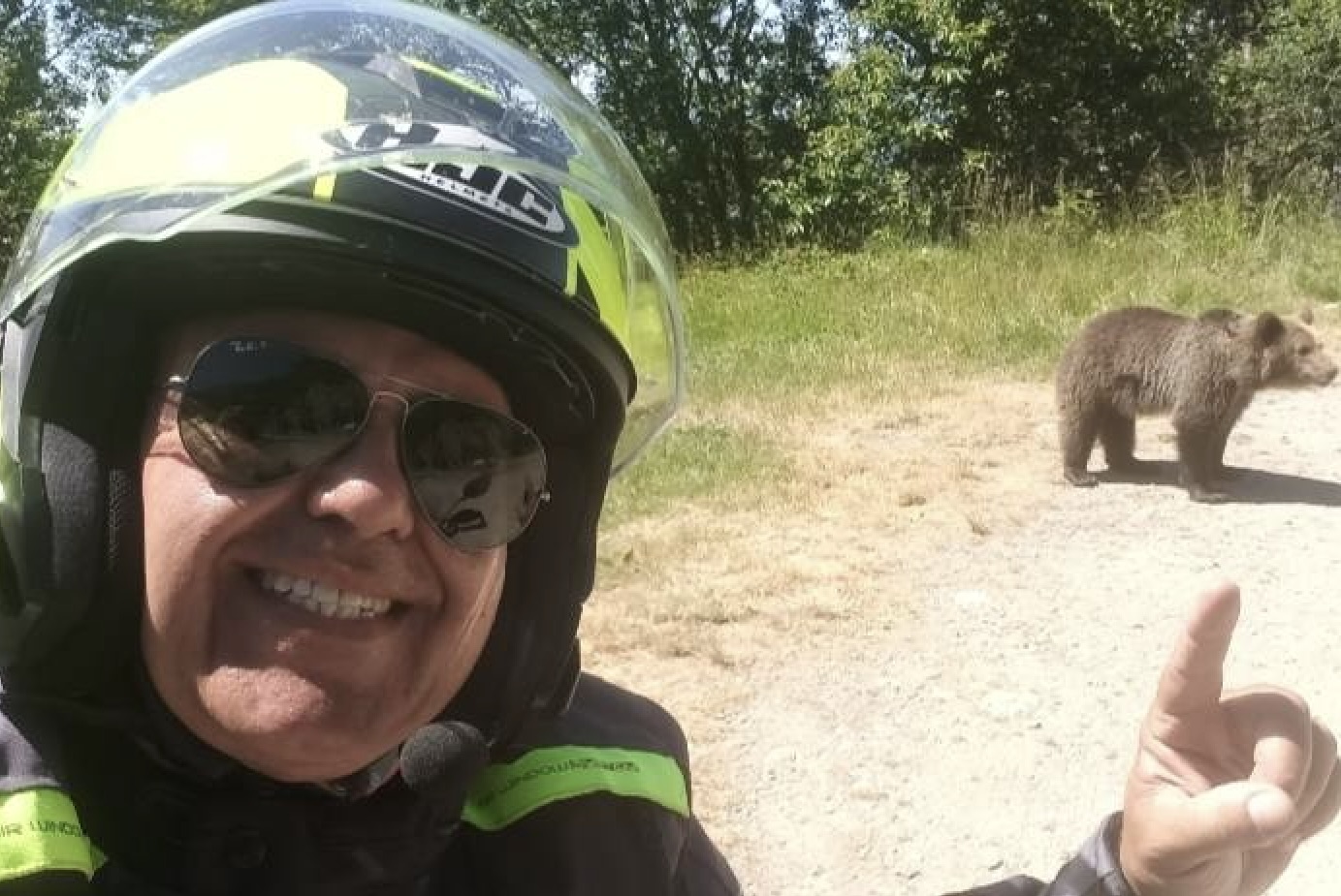 Tragedia sulla Transfagarasan: turista italiano sbranato da un orso mentre scattava foto ai cuccioli