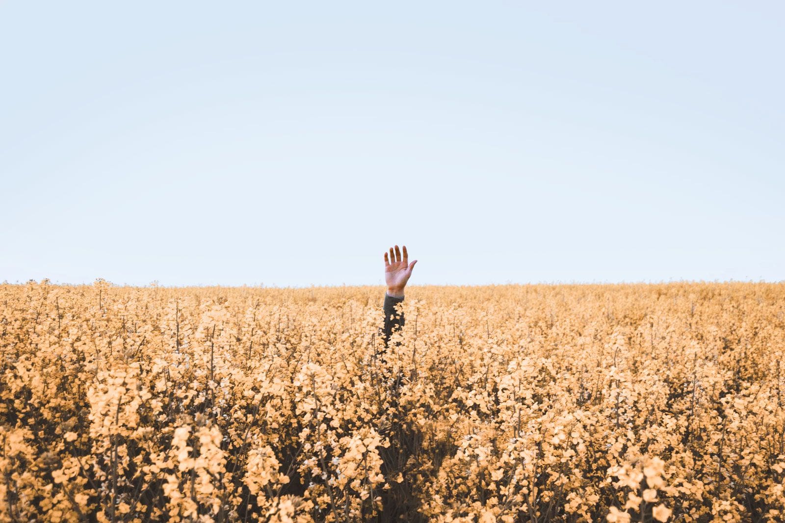Are all feature voting tools equally bad? - Canny Blog
