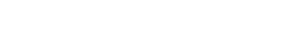 The Big Choice - CAPITAL INSTITUTE