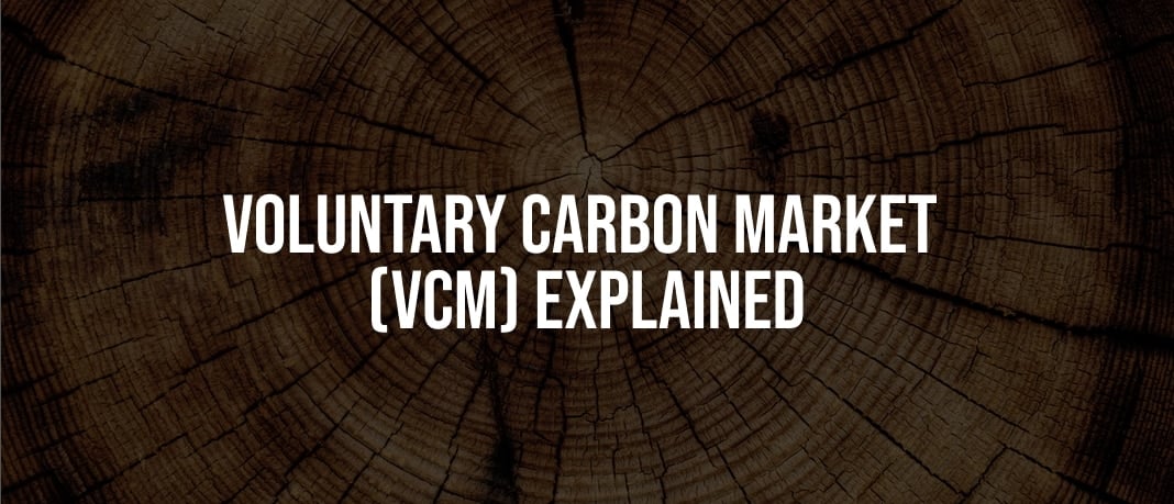 What is the Voluntary Carbon Market? • Carbon Credits