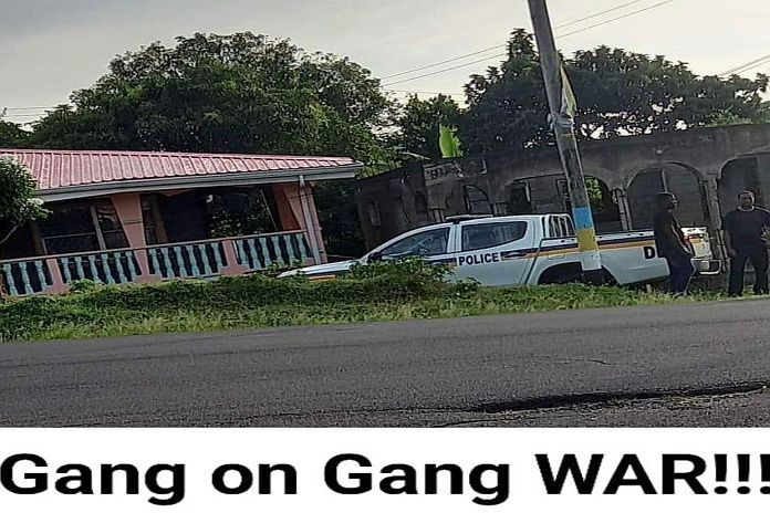 Gangs and criminality at-large in St Lucia - Caribbean News Global