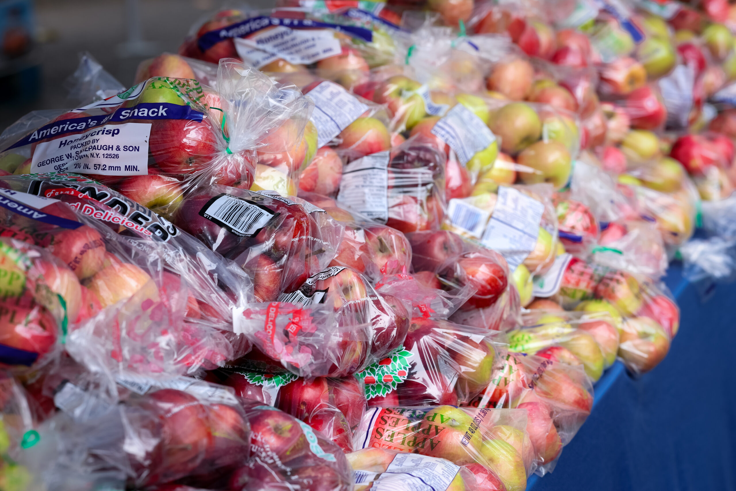 Bringing Hope and Nourishment to Rockland County This Holiday Season - Catholic Charities of New York