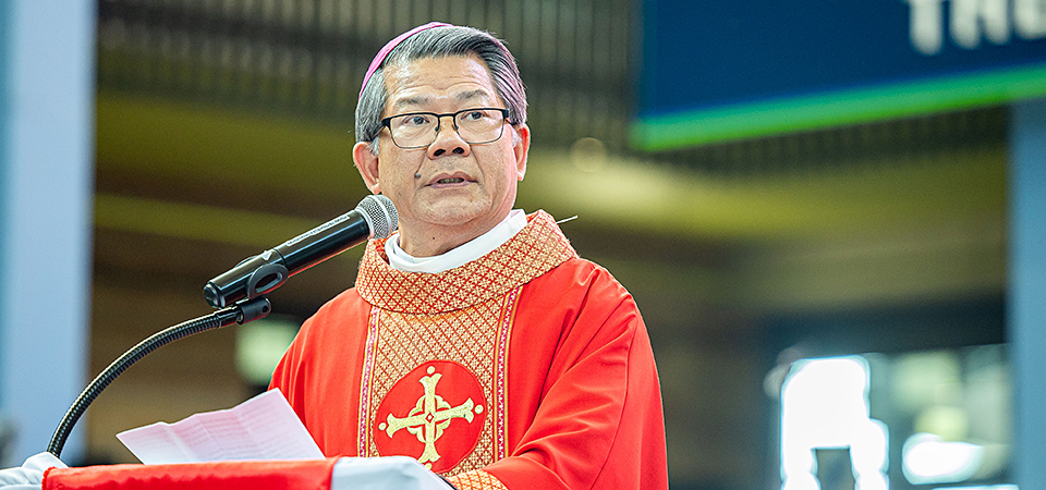 Bishop Vincent's Homily for Palm Sunday 2026 - Catholic Outlook