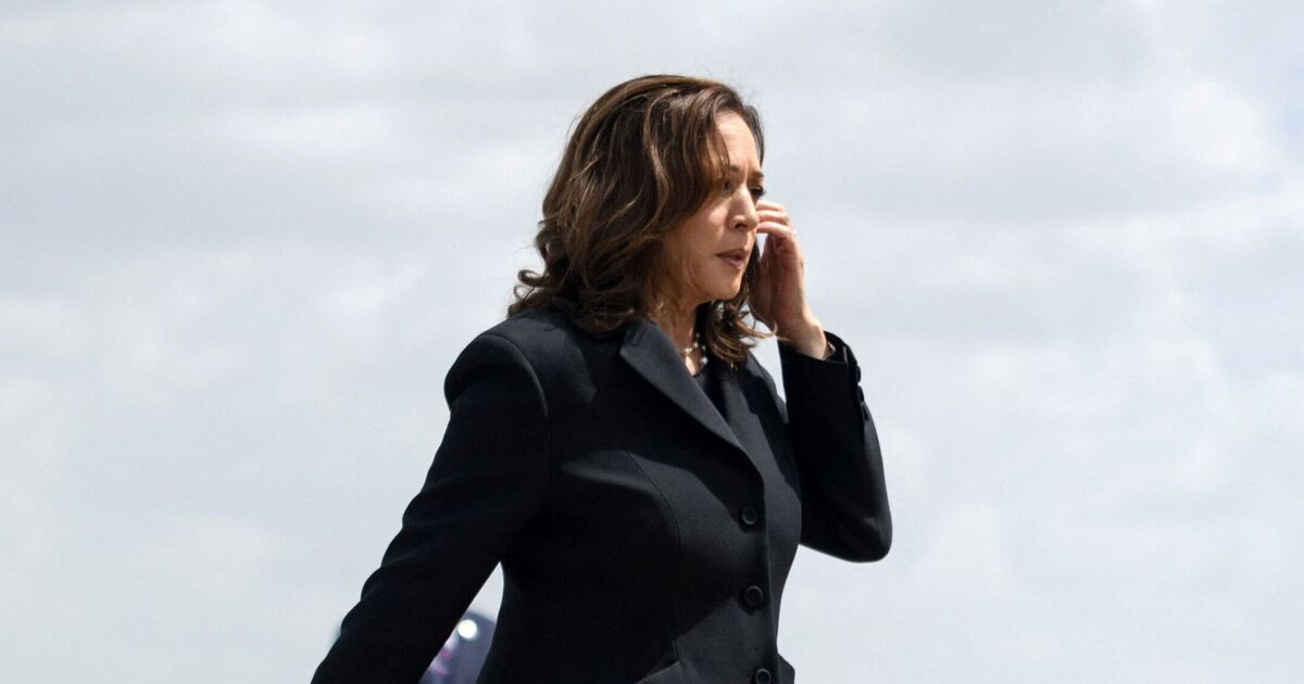 Kamala Harris selects Minnesota's Tim Walz as running mate - US News - News - Daily Express US