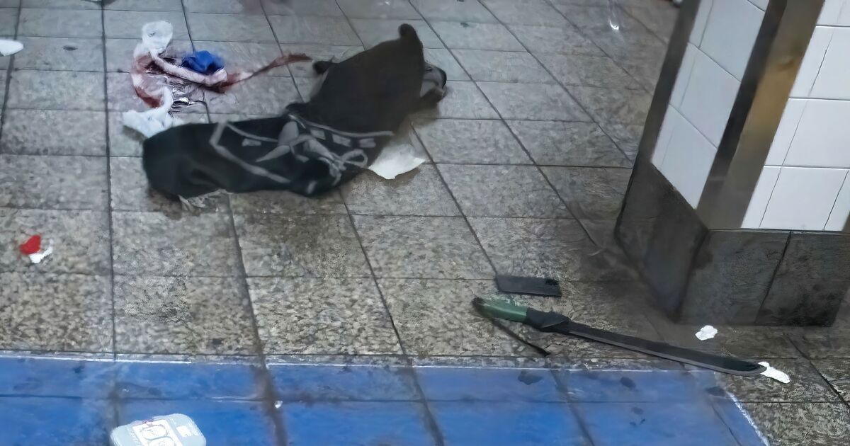 Grand Central machete attacker had 13 priors at time of brutal attack - US News - News - Daily Express US