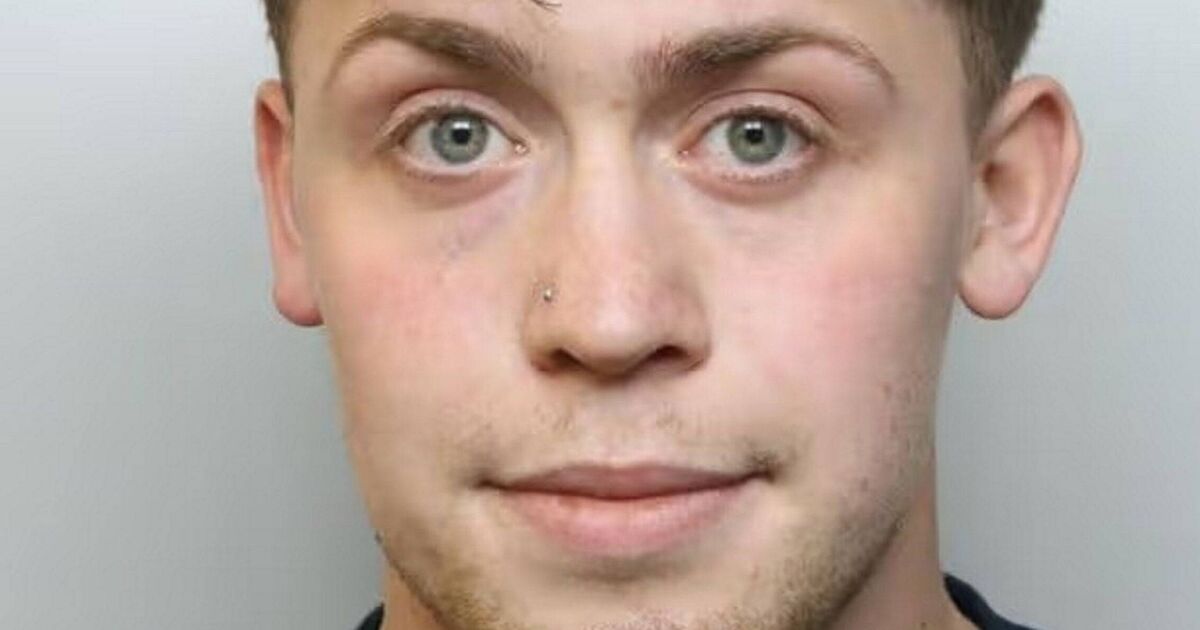Cowardly rapist stalker asks to 'phone mom and dad' as he's arrested - UK News - News - Daily Express US