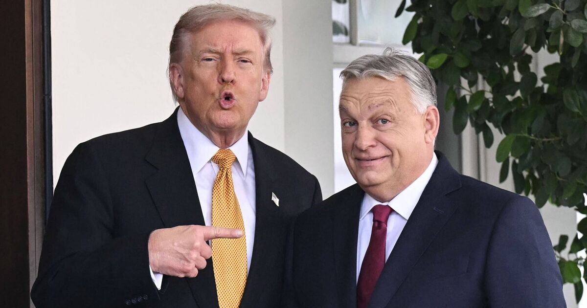 Tensions with EU erupt as Trump heavily praises Hungary PM Orban - World News - News - Daily Express US