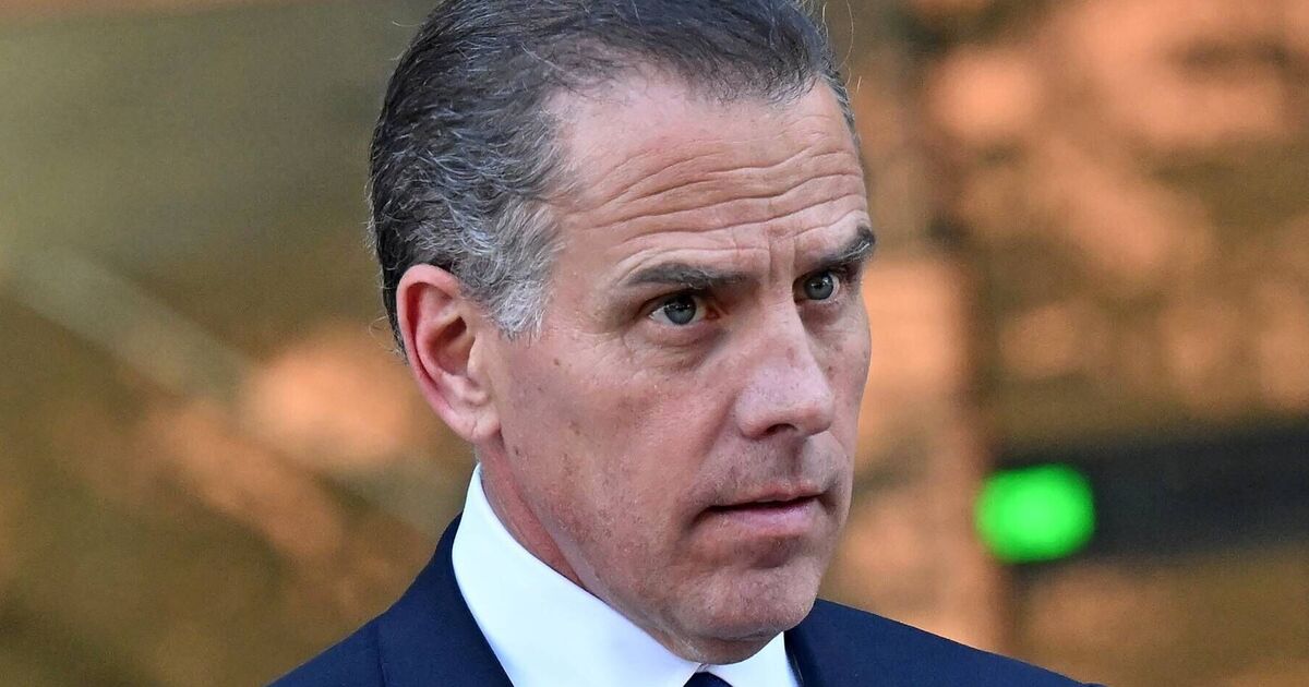 Hunter Biden challenges Trump sons Eric and Donald Jr. to cage fight - Politics - News - Daily Express US