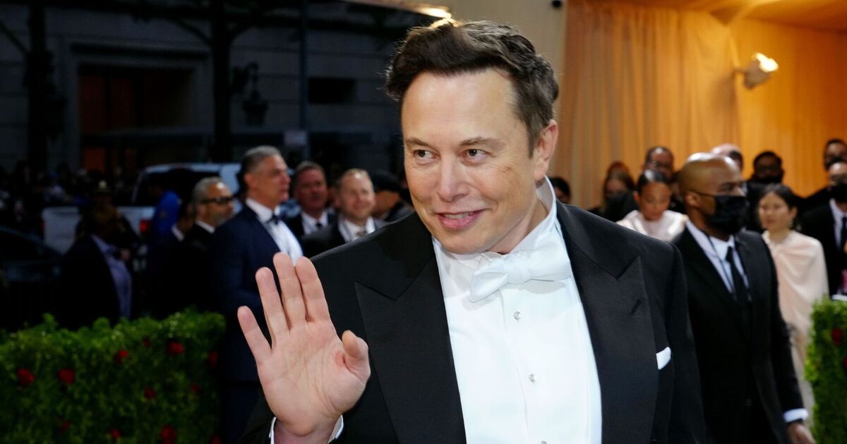 Elon Musk wants crewed flight to Mars in 2028 and self-sustaining city - Space News - News - Daily Express US