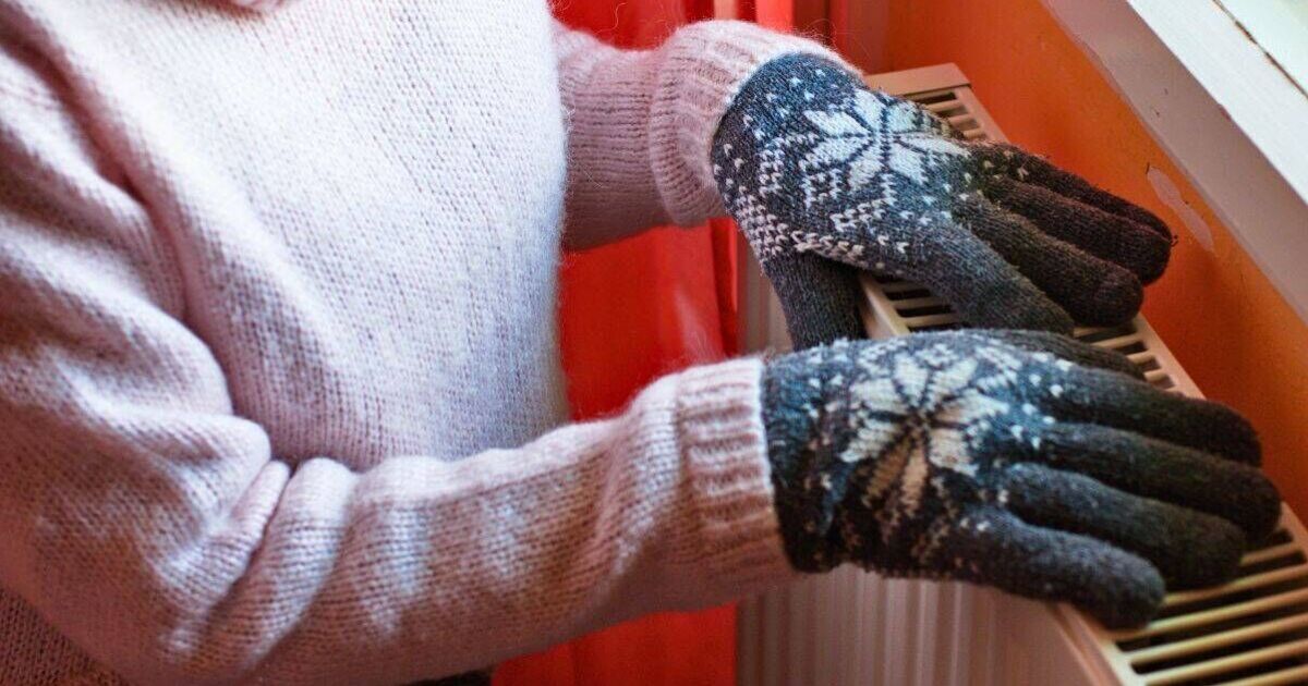 Radiators heat homes faster if you do 1 simple task before turning them on - Weather - News - Daily Express US