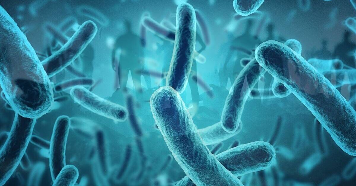 Millions threatened by deadly ‘zombie cells’ linked to poor csleep - Health - News - Daily Express US