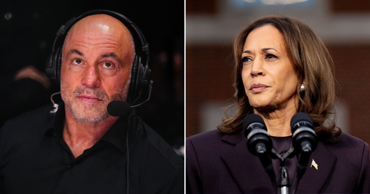 Joe Rogan reels off Kamala Harris' banned subjects for podcast - MMA - Sports - Daily Express US