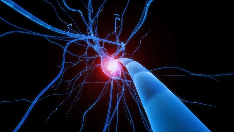 6 Deep Learning Applications a beginner can build in minutes with Python