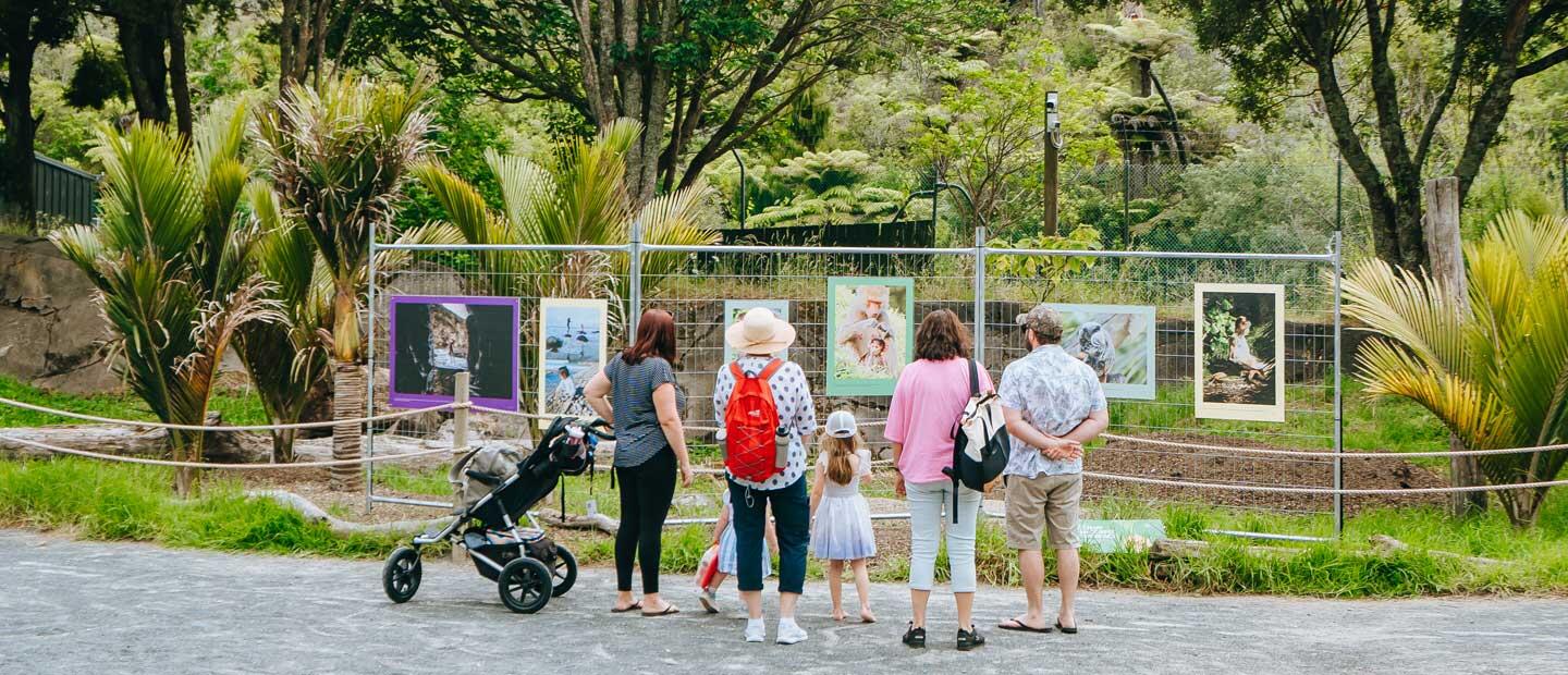Zoo’s summer art trail celebrates connecting in nature | Auckland Zoo News