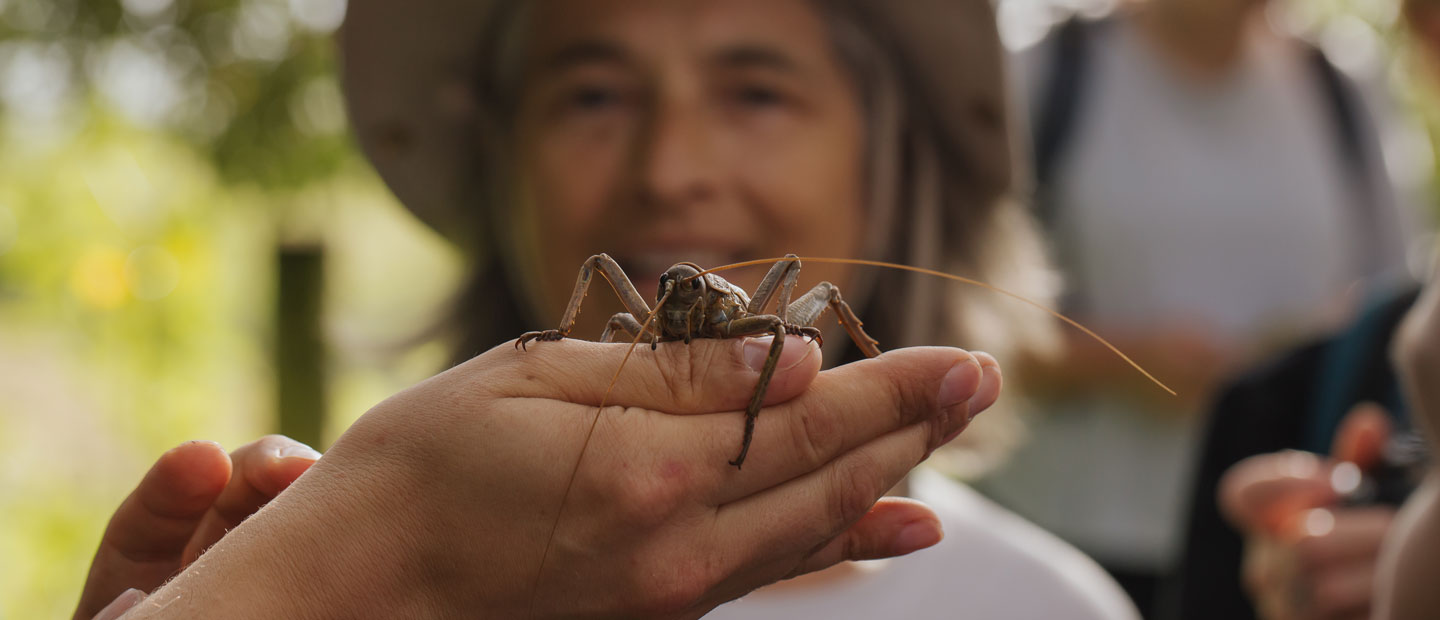 Auckland Zoo and Department of Conservation sign new strategic partnership | Auckland Zoo News