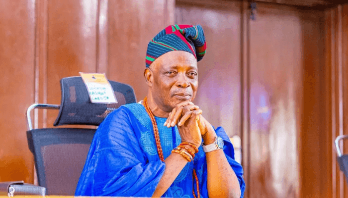Olubadan meets Tinubu, gets FG's assurances to tackle ecological challenges - Businessday NG