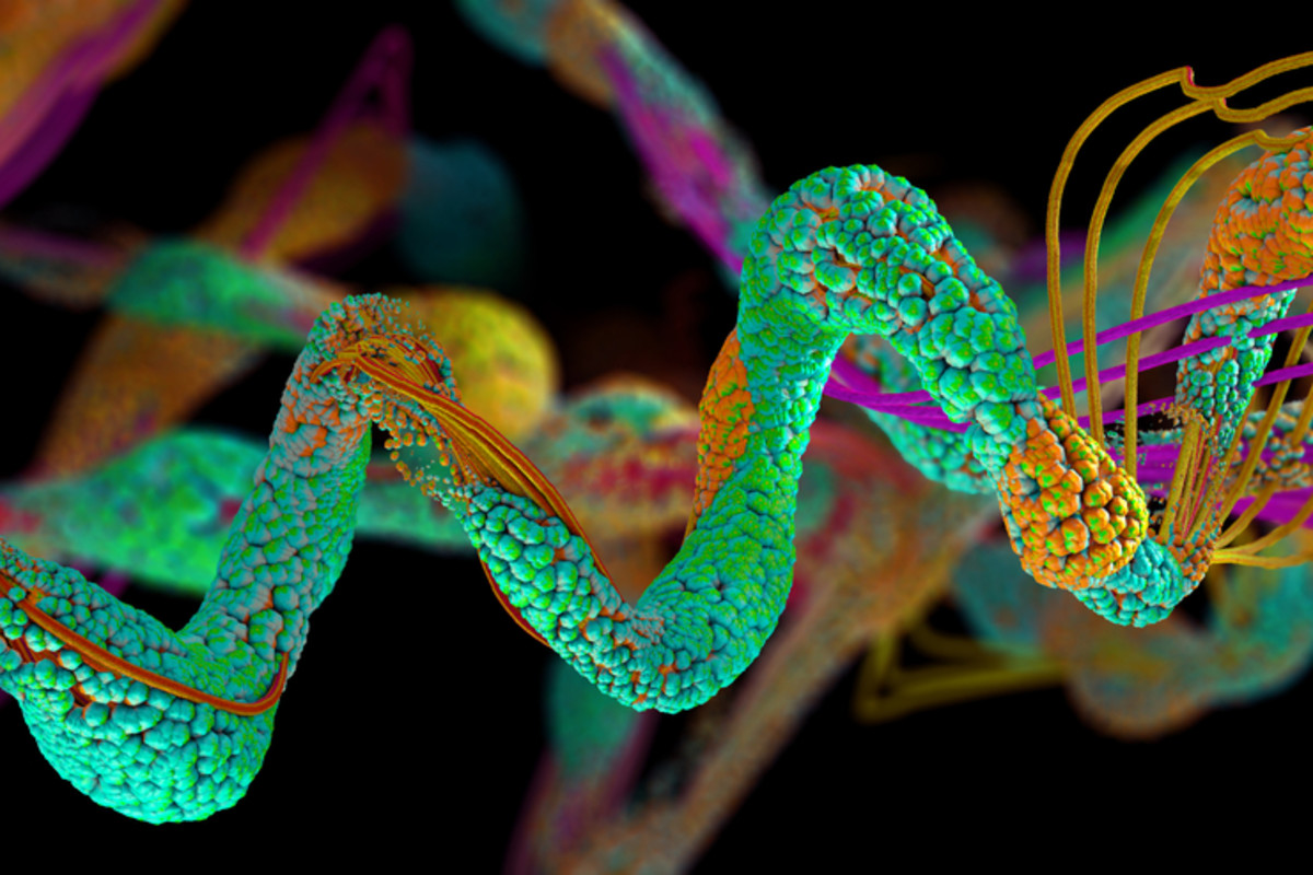 New Molecule Competes with Ozempic, Showing Fewer Side Effects | Discover Magazine