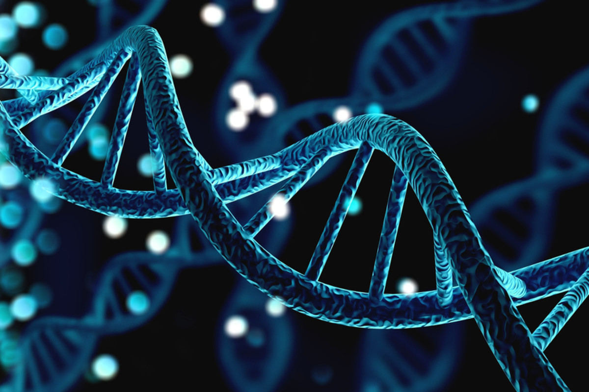 Race Is Real, But It’s Not Genetic | Discover Magazine