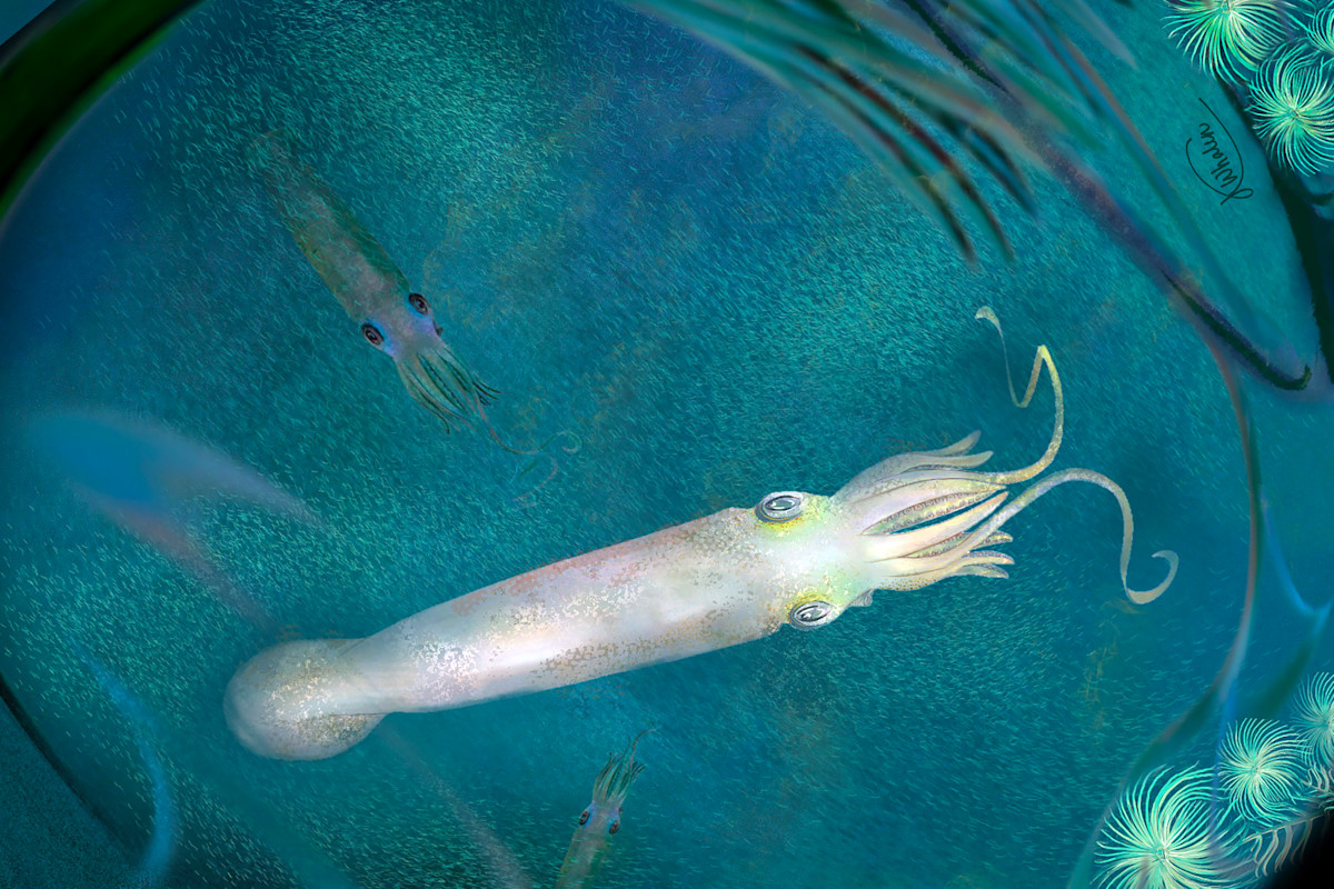 5 Animal Species Named After Celebrities | Discover Magazine