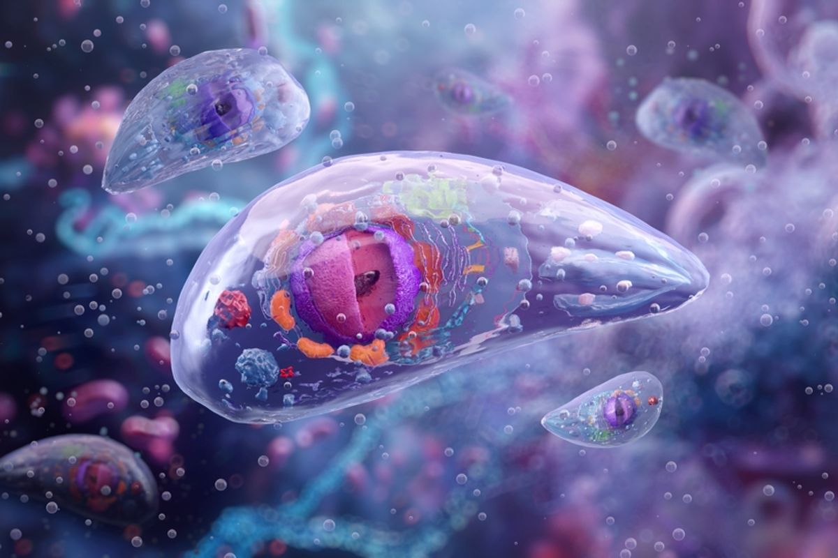 This Cat Parasite Can Infect Humans, and You Can Get It From Litter Boxes or Unwashed Veggies | Discover Magazine