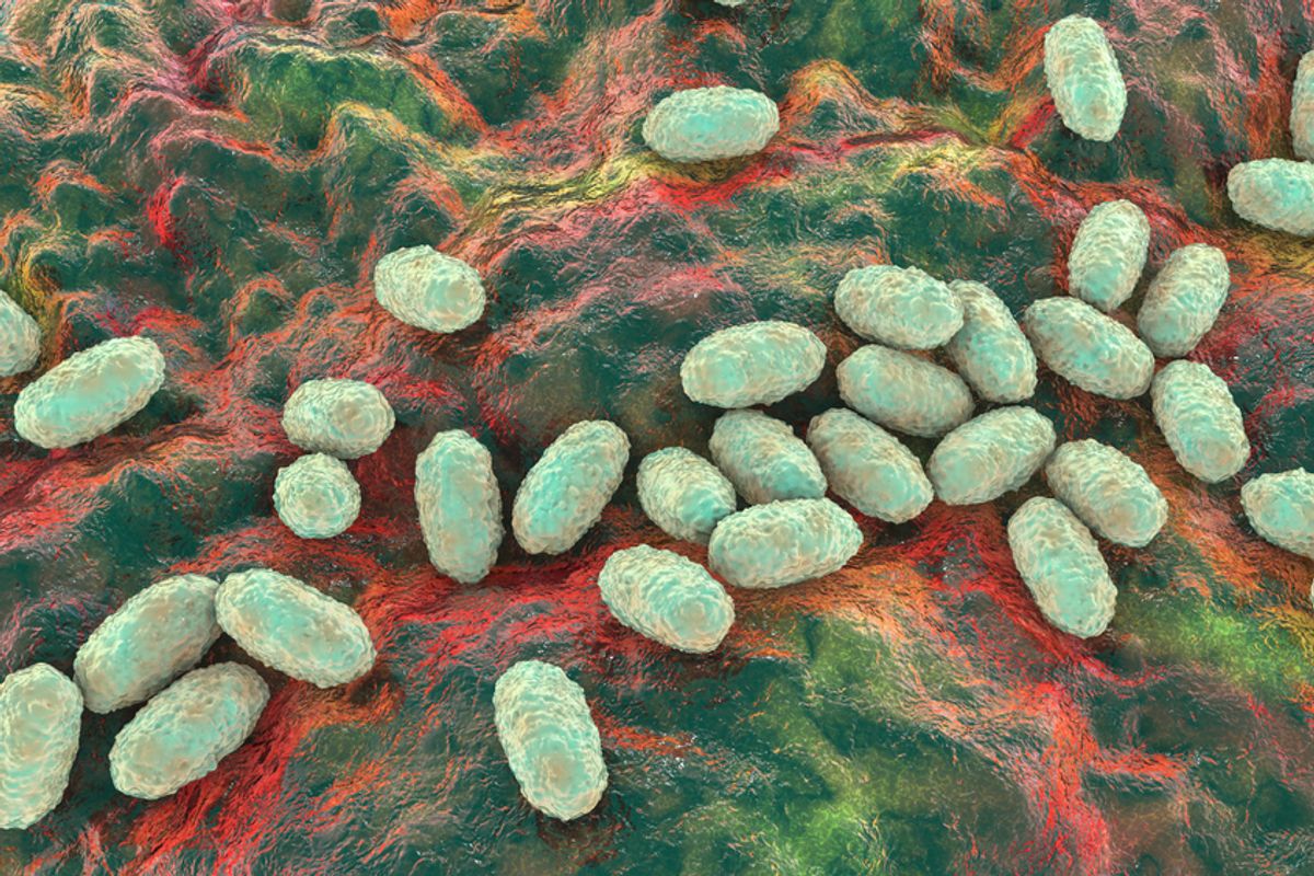 Falling Vaccination Rates are Likely Behind Rise in Whooping Cough Cases | Discover Magazine