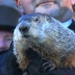 Groundhog Friday - FactCheck.org
