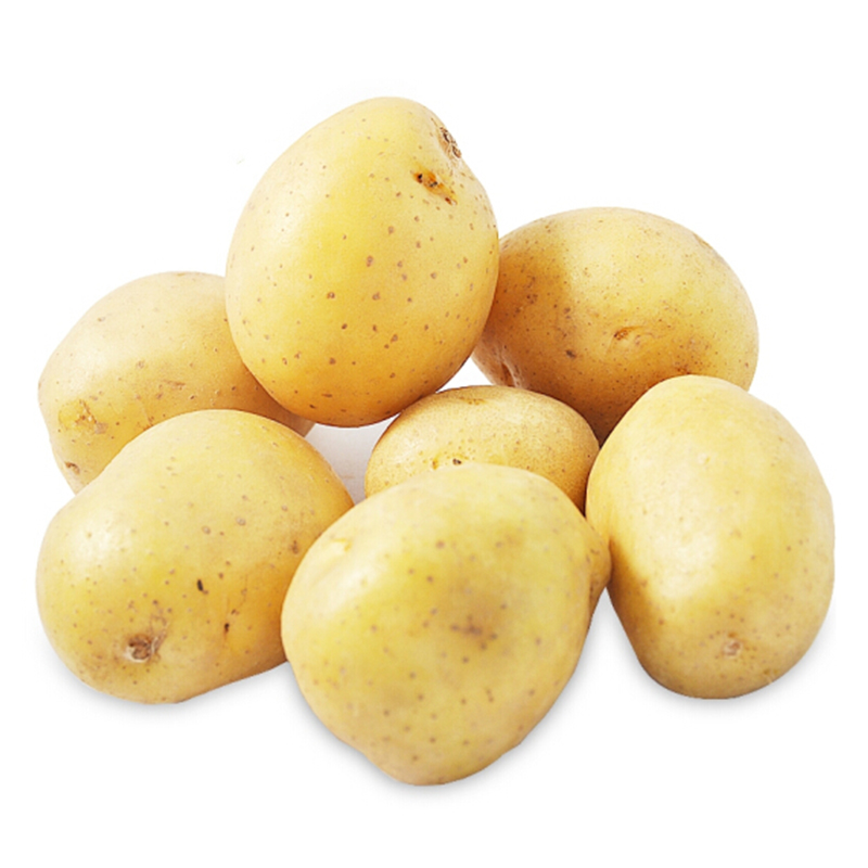 China Factory Outlet High Quality in Bulk Fresh Potato with International Certification Gaosi ma Falegaosi | Nongchuanggang