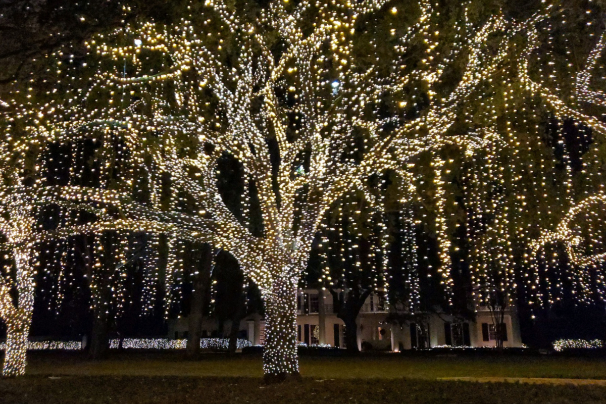 Holiday lights are on full display in Houston – Houston Public Media