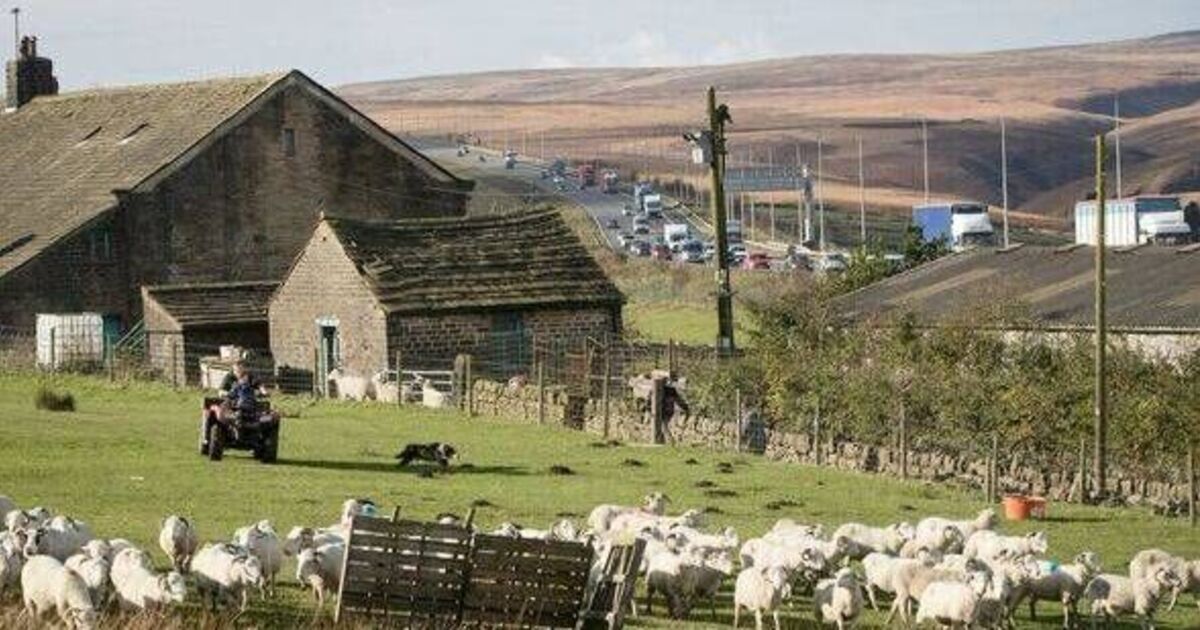 True story behind farm house in the middle of busy UK motorway | UK | News | Express.co.uk