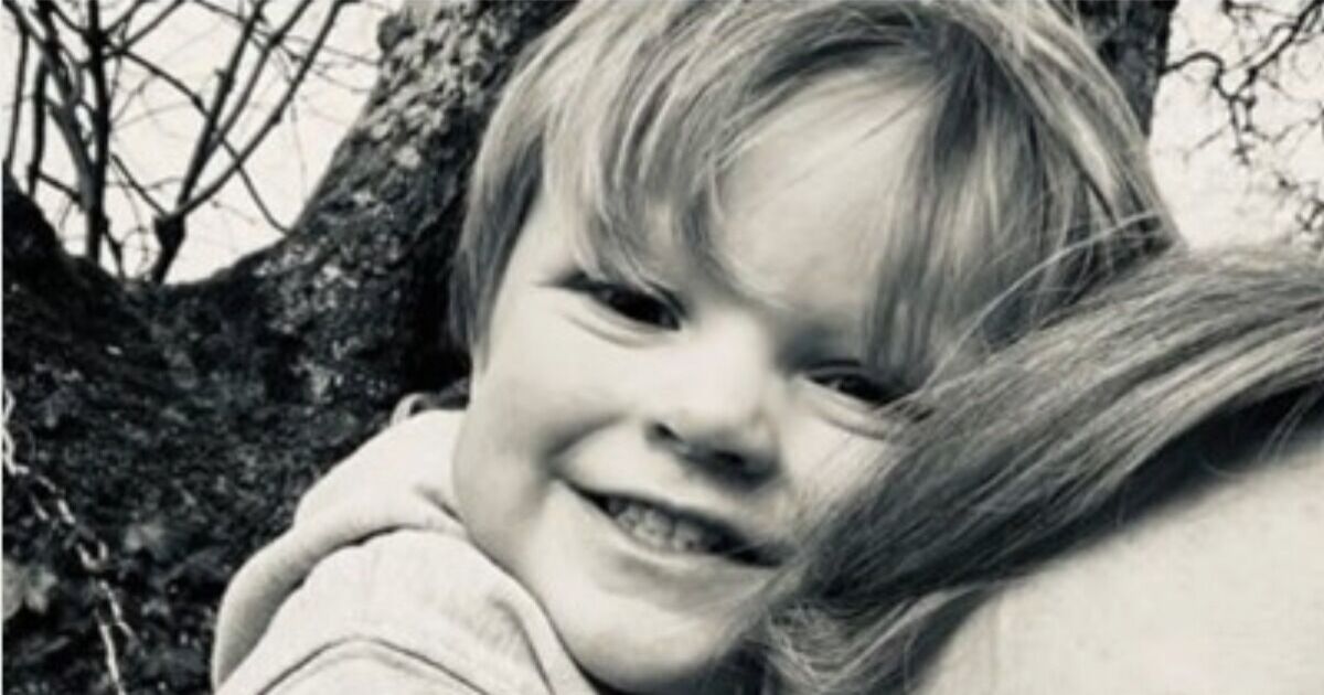 Toddler, 2, dies in horror accident after family friend reversed in driveway | UK | News | Express.co.uk