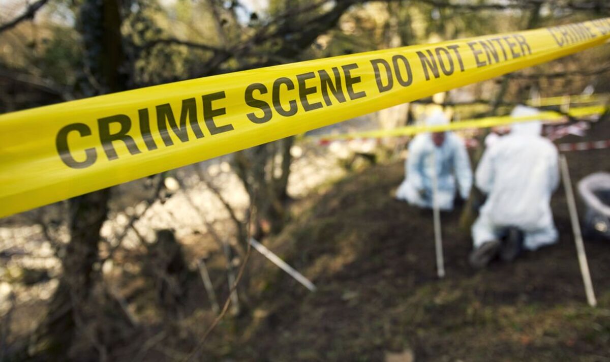 Leeds Police launch investigation after human remains found in skip on Halloween | UK | News | Express.co.uk