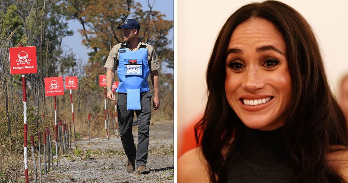 Royal Family: Insider reveals why Meghan Markle missed Prince Harry's Angola trip | Royal | News | Express.co.uk