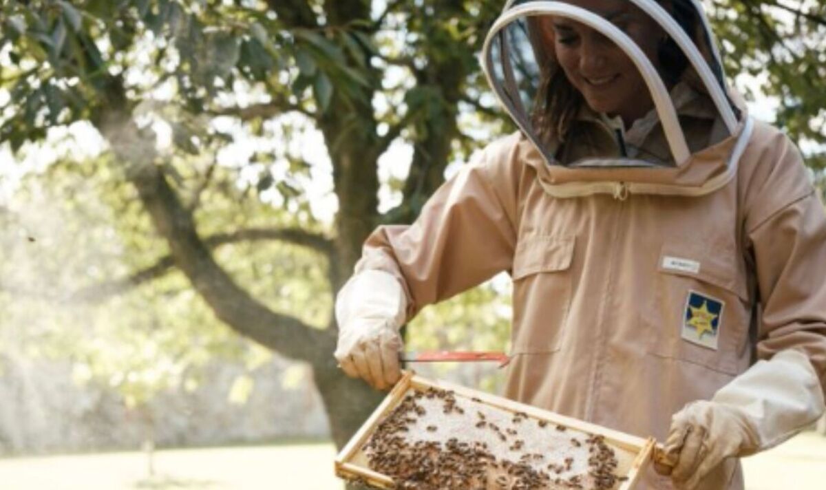 Princess Kate 'buzzing' as she gears up for bee-keeping duties | Royal | News | Express.co.uk