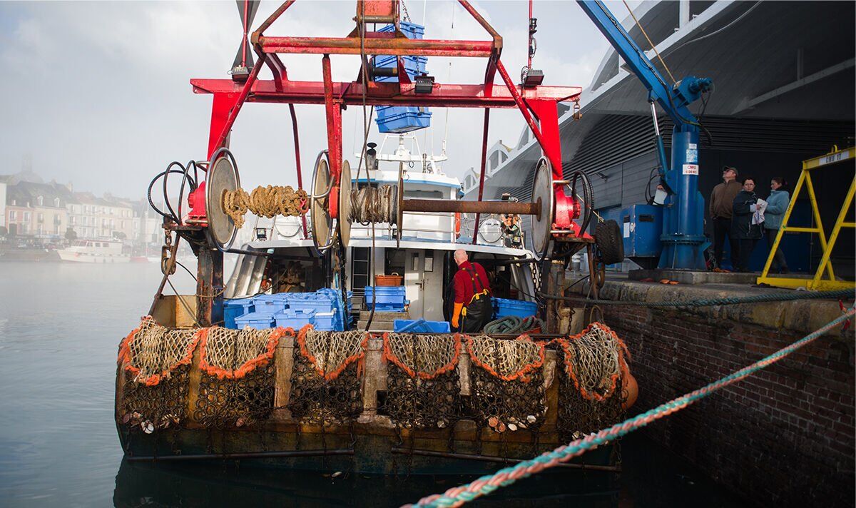 Brexiteer furiously warns EU's mega fishing quotas risk decimating British waters | Politics | News | Express.co.uk