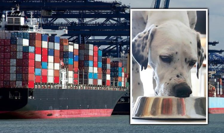 Brexit news: Freeports plan could hand vital boost to critical sector after exit | Politics | News | Express.co.uk