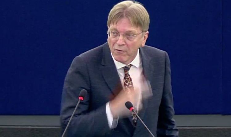 Guy Verhofstadt rages at Brexiteers wanting to leave EU as Poland row erupts in Parliament | Politics | News | Express.co.uk