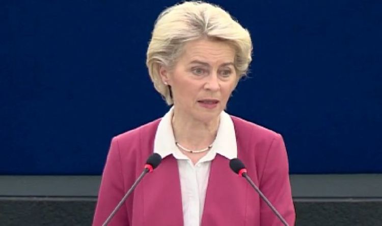 EU plenary: 'Global issue!' Now VDL confirms Brexit NOT to blame for gas price crisis | Politics | News | Express.co.uk