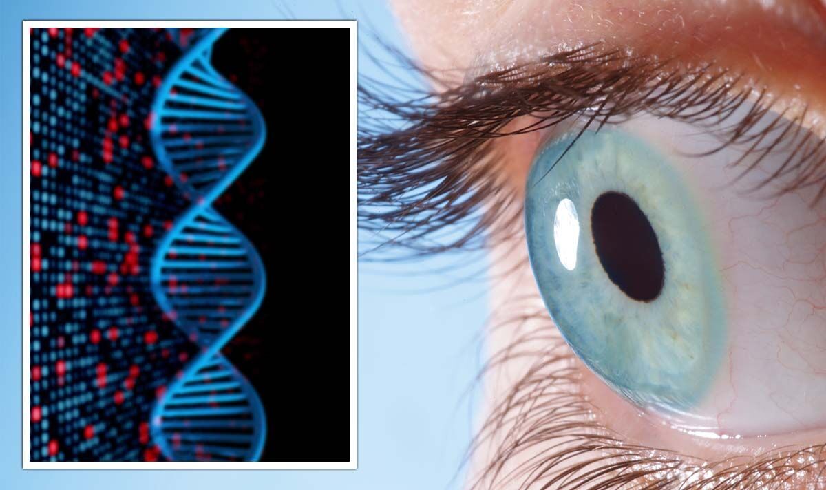 Blindness breakthrough: UK firm REVERSES vision loss in 'revolutionary' gene therapy study | Science | News | Express.co.uk