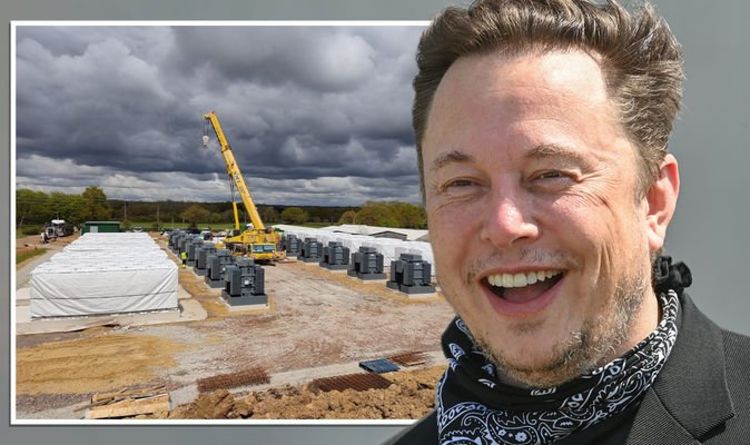Elon Musk launches new Tesla project in Brexit Britain: 'Important step for growth!' | Science | News | Express.co.uk