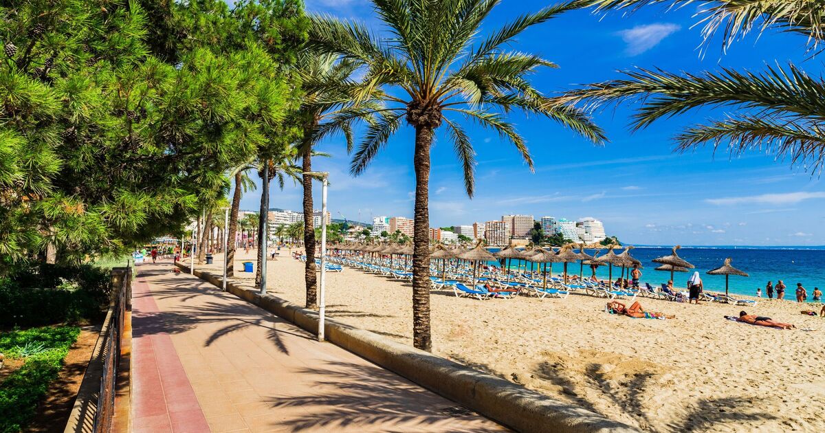 Tourists baffled as Magaluf beach transformation leaves it unrecognisable | Travel News | Travel | Express.co.uk