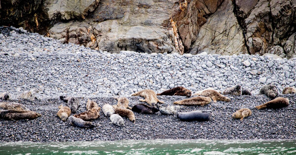 UKs 'best-kept secret' beach for those who want to escape the crowds | Travel News | Travel | Express.co.uk